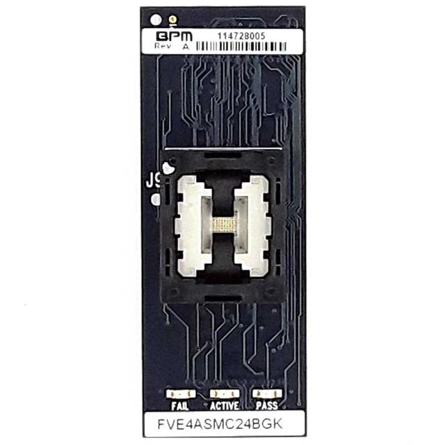 FVE4ASMC24BGTBPM Microsystems