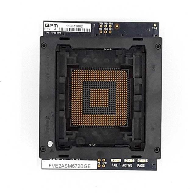 FVE2ASM672BGJBPM Microsystems