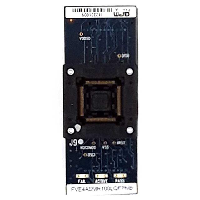FVE4ASMR100LQFPTRBPM Microsystems