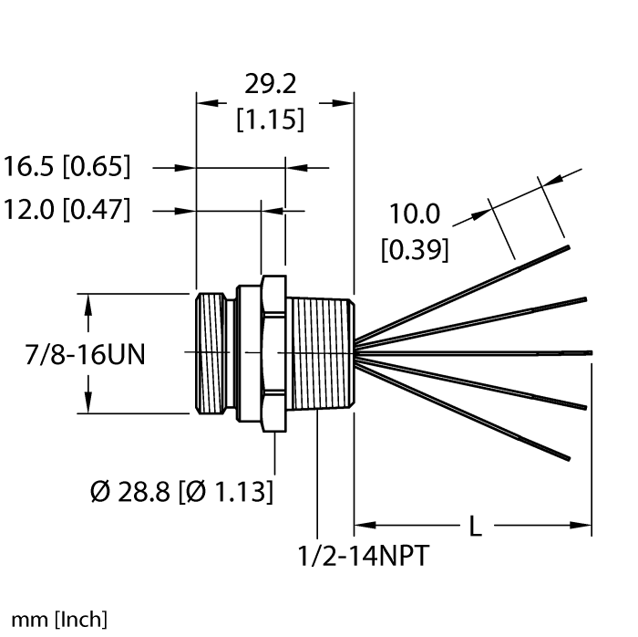 RSF 56-xM/NPTturck