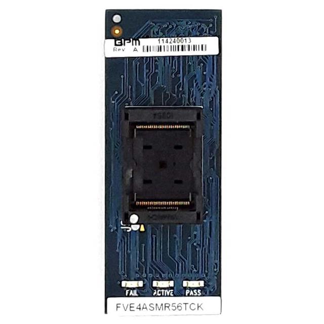 FVE4ASMR56TCKBPM Microsystems