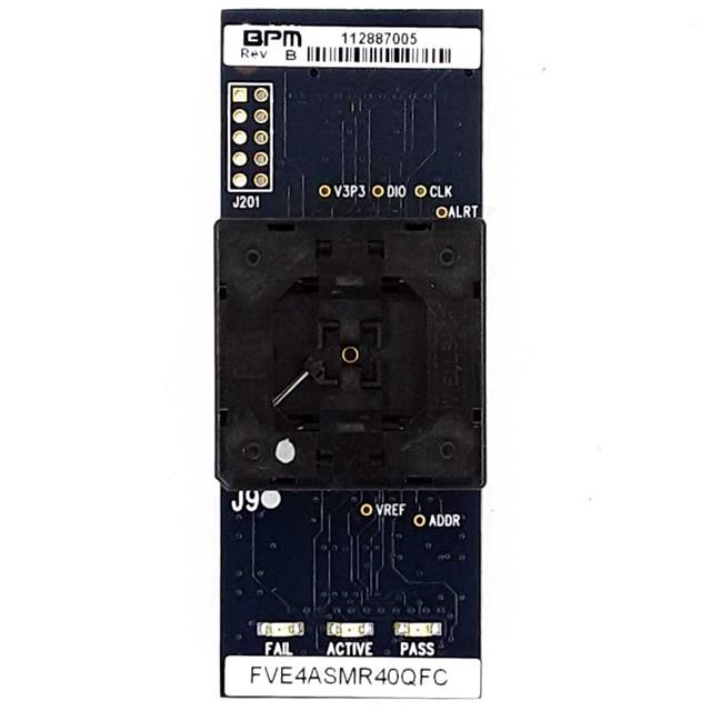 FVE4ASM100LBGBBPM Microsystems