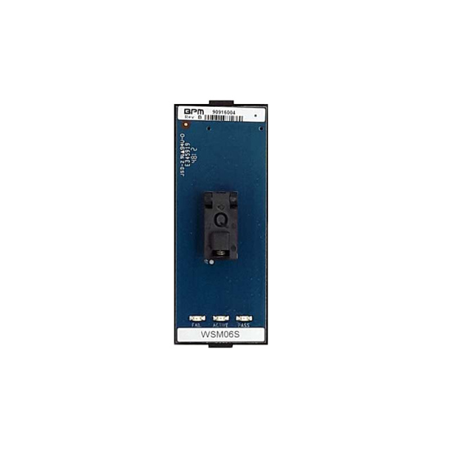 FSM06SBPM Microsystems
