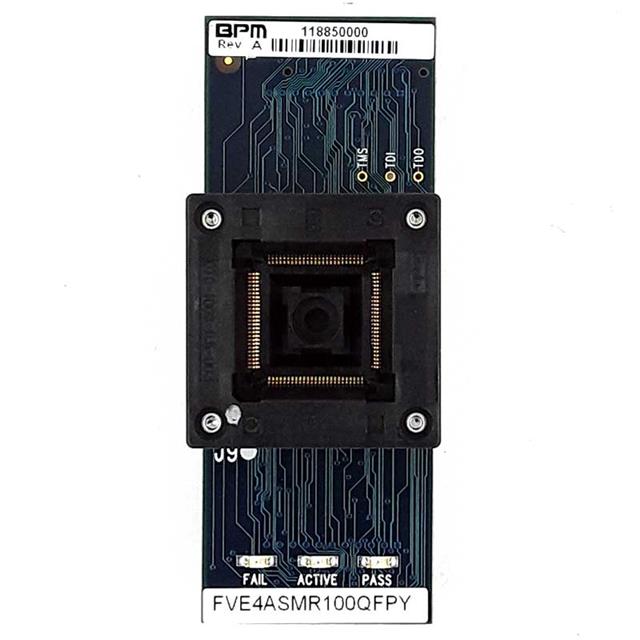 FVE4ASMR100QNTBPM Microsystems
