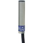 XS506BLPAL2Schneider