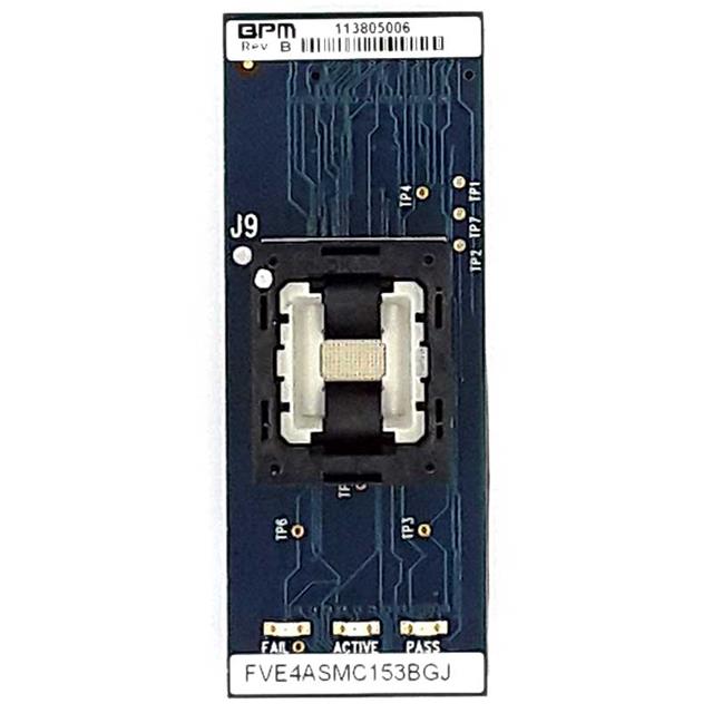 FVE4ASMC153BGJBPM Microsystems