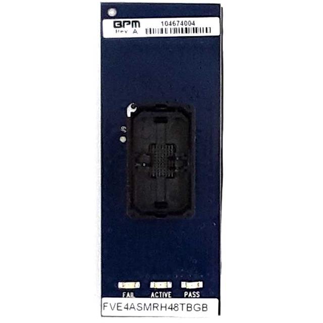 FVE2ASMR352BGCBPM Microsystems
