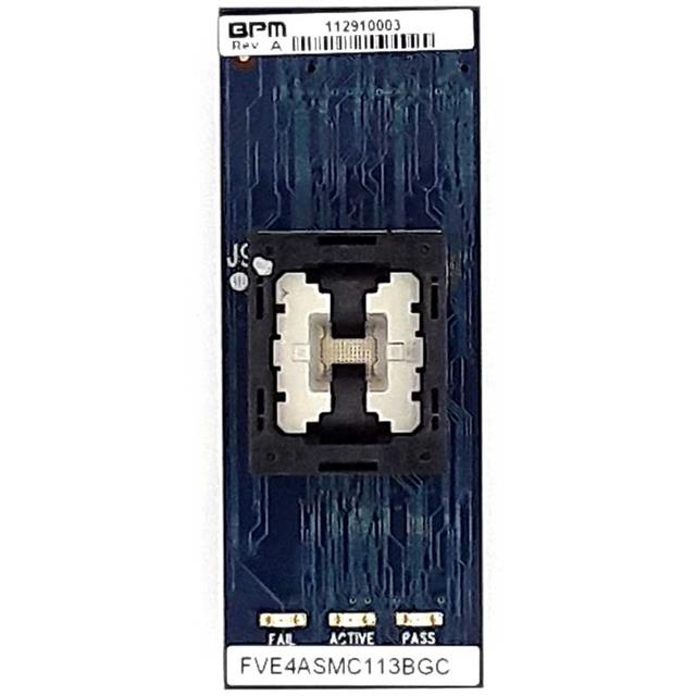 FVE4ASMC132BGFBPM Microsystems