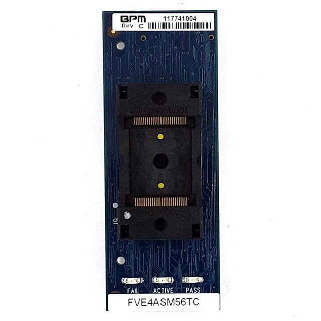 FVE4ASM64EBGFBPM Microsystems