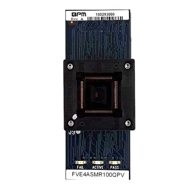 FVE4ASMR100TQFCABPM Microsystems