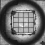 NUVA33R365TRFNIC Components