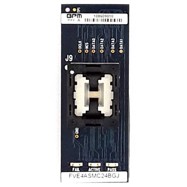 FVE4ASMC24BGJBPM Microsystems