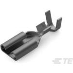 170214-2TE Connectivity