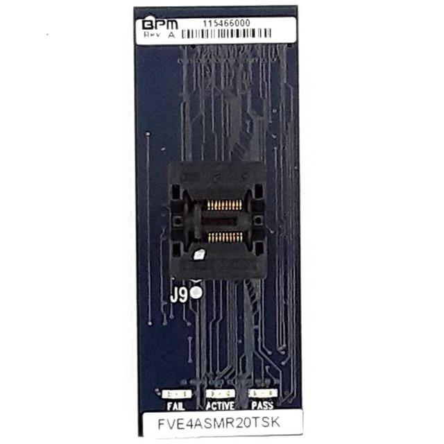 FVE4ASMR20TSXBPM Microsystems
