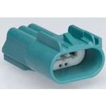 340910003Molex
