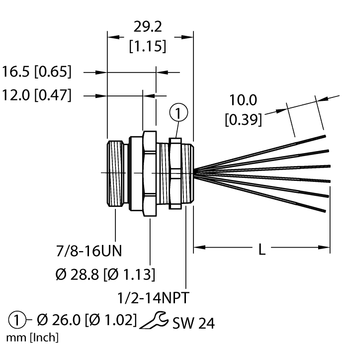 RSF 66-xM/NPT W/LNturck