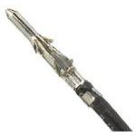 797582052Molex
