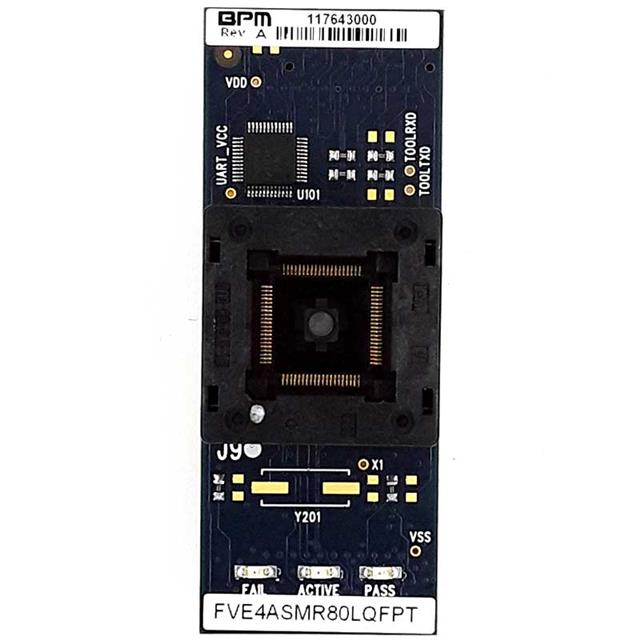 FVE4ASMR80QFPMBPM Microsystems