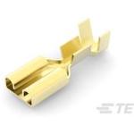 42281-1-CUT-TAPETE Connectivity