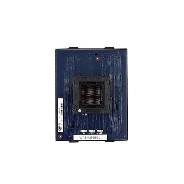 FASM256BGFABPM Microsystems
