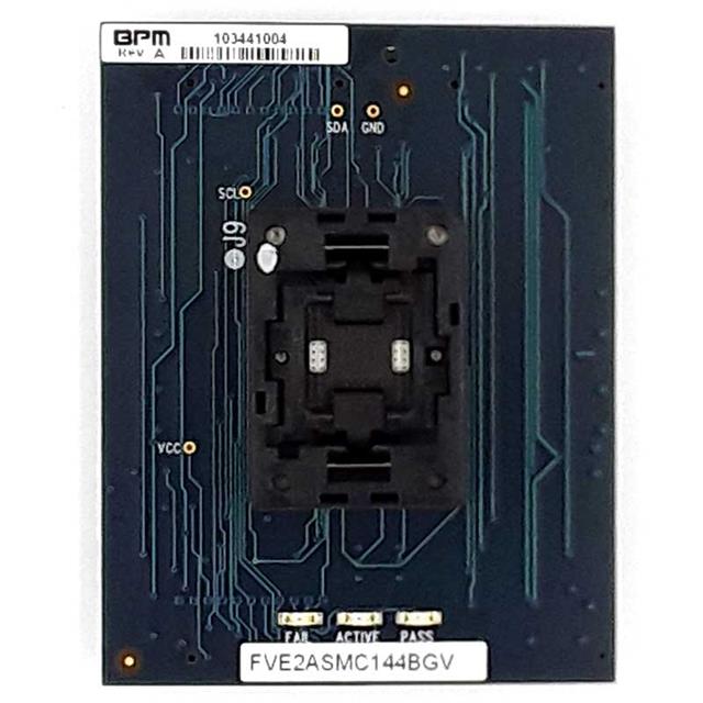 FVE2ASMC144BGVBPM Microsystems