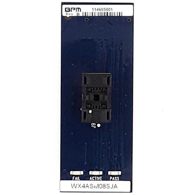 WASM20TSCBPM Microsystems