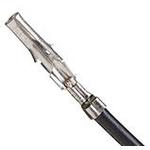 797582036Molex