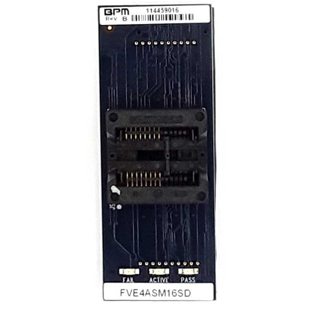 FVE4ASM20SQBBPM Microsystems