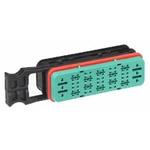 850844808Molex