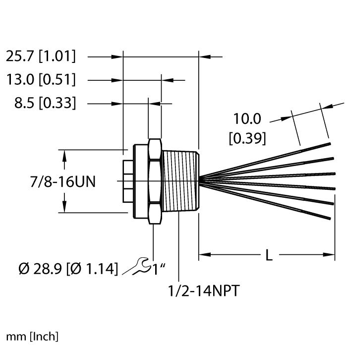 RKF 66-xM/NPTturck
