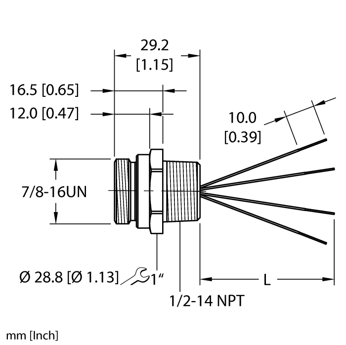 RSF 46-xM/NPTturck