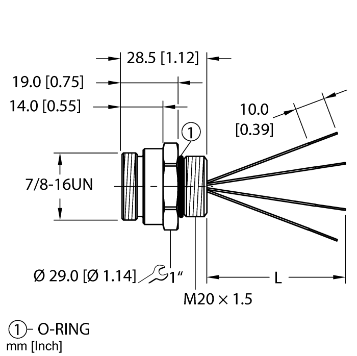 RSF 40-xM/M20turck