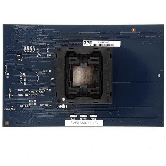FVE2ASMR324BGRBPM Microsystems