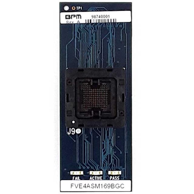 FVE4ASM169BGCBPM Microsystems
