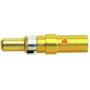 09692817823HARTING