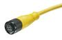 1200650139Molex