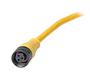 1200651288Molex