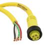 1300060748Molex