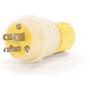 1301460024Molex