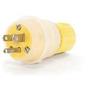 1301460035Molex