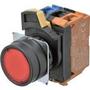 A22NN-BNM-NRA-G100-NNOmron Automation and Safety