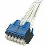 QPPCCWDB05Panduit Corp